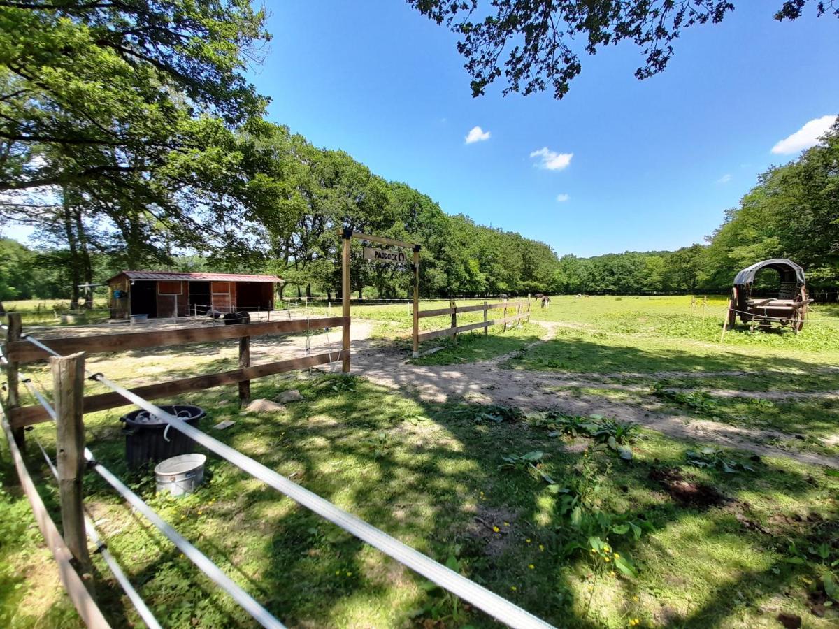 La Cabane Du Cowboy Villa Saint-Privé Buitenkant foto