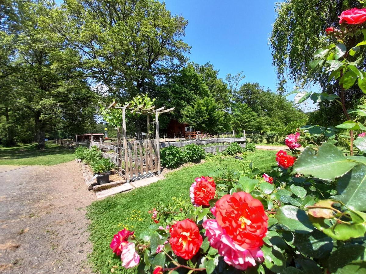 La Cabane Du Cowboy Villa Saint-Privé Buitenkant foto